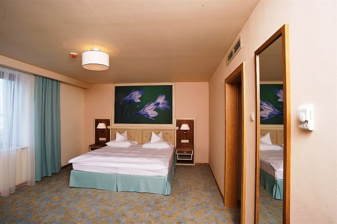 Imagen de la habitación del Hotel Sonnenhof, Suceava. Foto 3