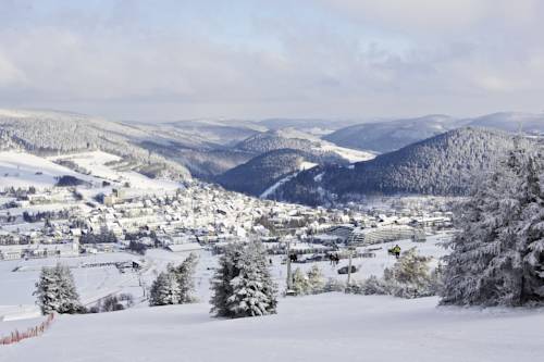 Imagen de la habitación del Hotel Sonnenhof-willingen. Foto 3