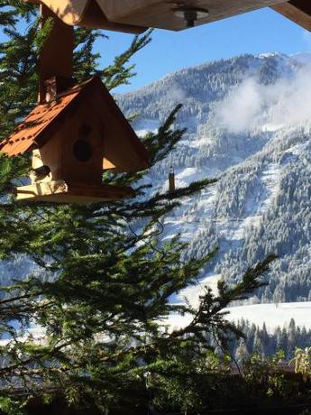 Imagen general del Hotel Sonnhof am Hochkönig, Muehlbach Am Hochkoenig. Foto 1
