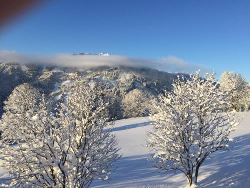 Imagen general del Hotel Sonnhof am Hochk&ouml;nig, Muehlbach Am Hochkoenig. Foto 3