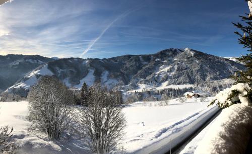 Imagen general del Hotel Sonnhof am Hochk&ouml;nig, Muehlbach Am Hochkoenig. Foto 5
