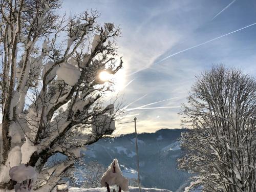 Imagen general del Hotel Sonnhof am Hochk&ouml;nig, Muehlbach Am Hochkoenig. Foto 6