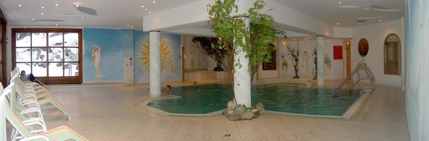 Imagen de la piscina del Hotel Sonnschein. Foto 18