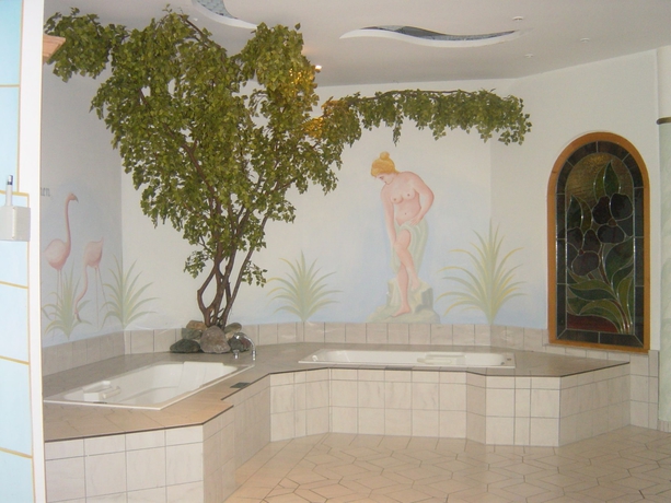 Imagen de la piscina del Hotel Sonnschein. Foto 19