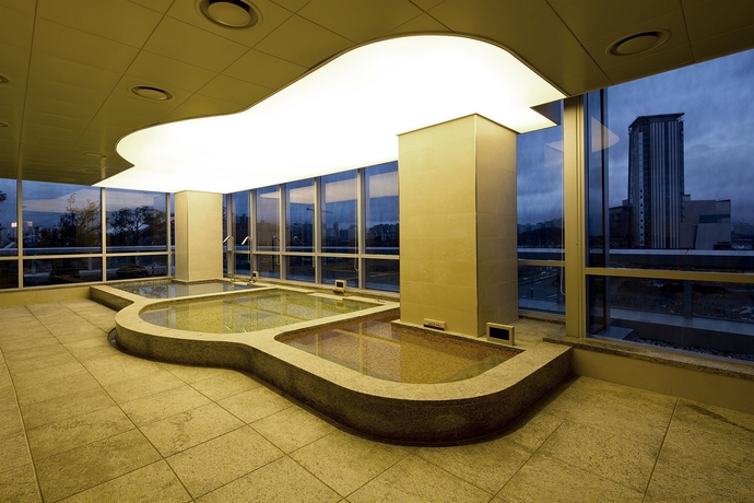 Imagen de la piscina del Hotel Sono Calm Goyang. Foto 16