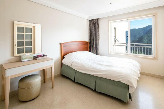 Imagen de la habitación del Hotel Sono Moon Danyang (formerly Daemyung Resort Danyang). Foto 26