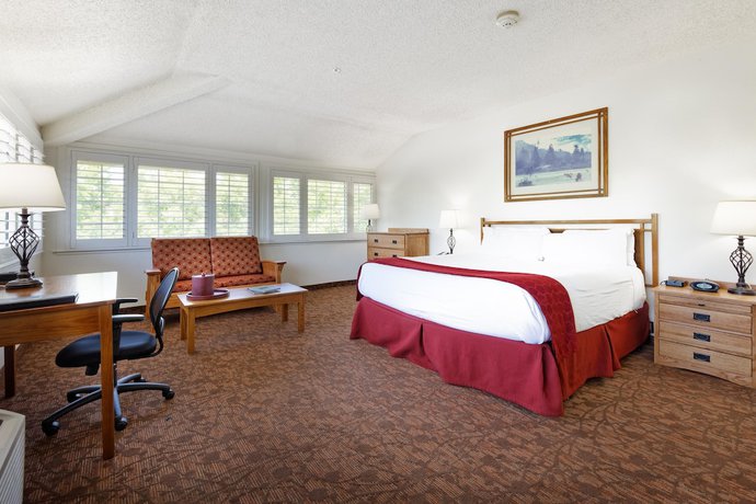 Imagen de la habitación del Hotel Sonoma Valley Inn, Tapestry Collection by Hilton. Foto 14