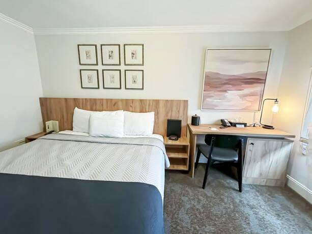 Imagen de la habitación del Hotel Sonora Inn. Foto 13