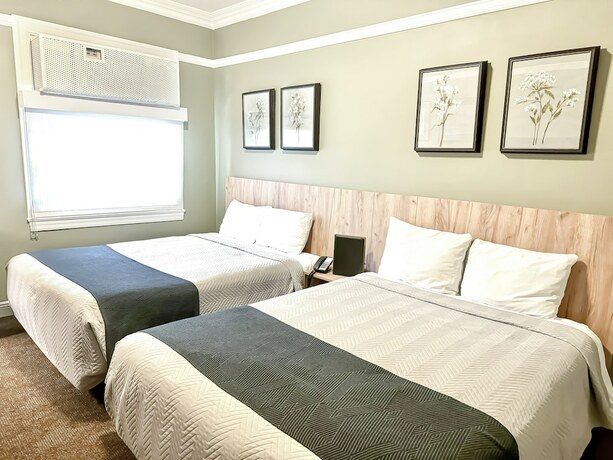 Imagen de la habitación del Hotel Sonora Inn. Foto 20