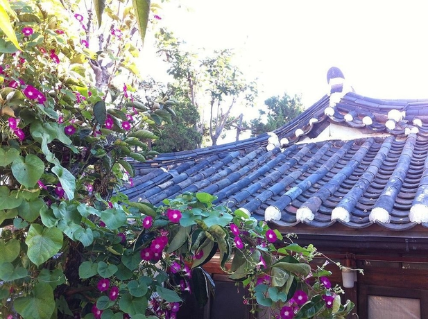 Imagen de los exteriores del Hotel Sophia Guesthouse. Foto 9