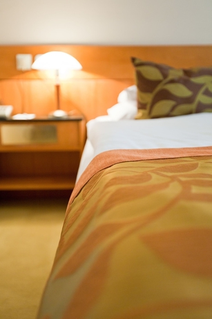 Imagen de la habitación del Hotel Sopron. Foto 13