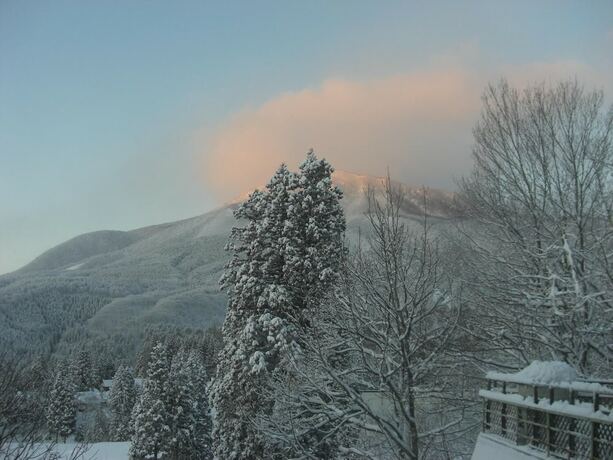 Imagen de la habitación del Hotel Soratobu Usagi. Foto 20