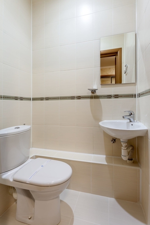 Imagen de la habitación del Hotel Sosnovy Bor Park-hotel. Foto 17