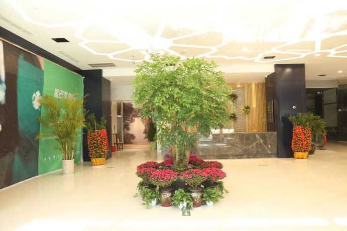 Imagen de los interiores del Hotel Sotel Inn Cultura Wenzhou University Branch. Foto 14