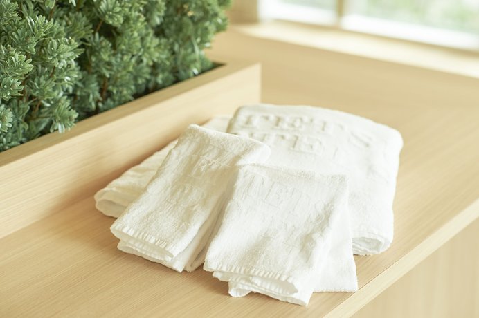 Imagen de la habitación del Hotel Sotetsu Fresa Inn Daimon. Foto 9