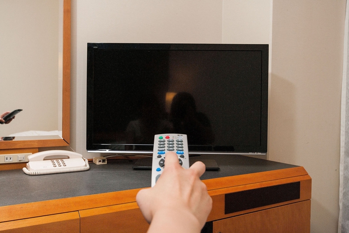 Imagen de la habitación del Hotel Sotetsu Fresa Inn Tokyo-kamata. Foto 8