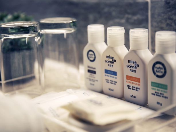 Imagen de la habitación del Hotel Sotetsu Hotels The Splaisir Seoul Dongdaemun. Foto 7