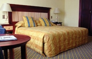 Imagen de la habitación del Hotel Souhtern Sun Pietermaritzburg. Foto 3