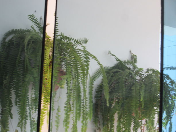 Imagen de los interiores del Hotel Soul Mate Inn. Foto 12