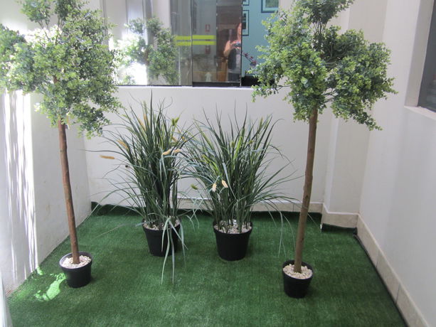 Imagen de la habitación del Hotel Soul Mate Inn. Foto 10