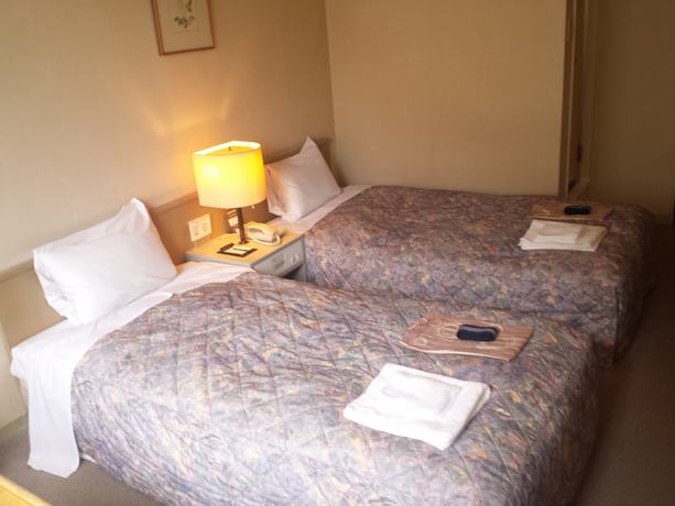 Imagen de la habitación del Hotel Sounkyo Mount View. Foto 3