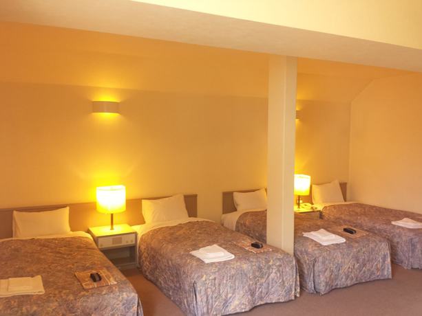 Imagen de la habitación del Hotel Sounkyo Mount View. Foto 12
