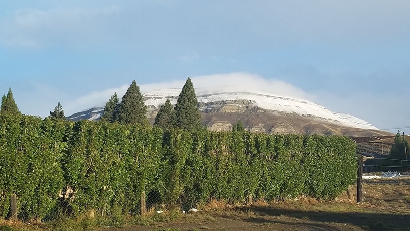 Imagen general del Hotel South B&B El Calafate. Foto 4