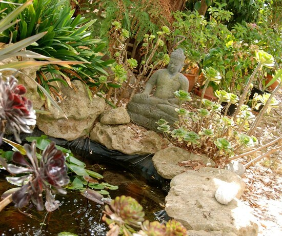 Imagen general del Hotel South Beach Haven. Foto 15