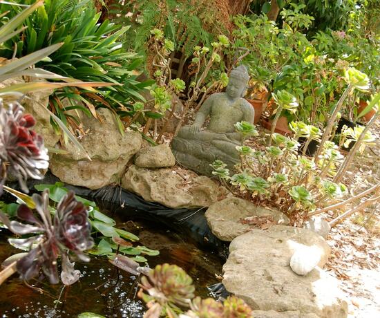 Imagen general del Hotel South Beach Haven. Foto 18