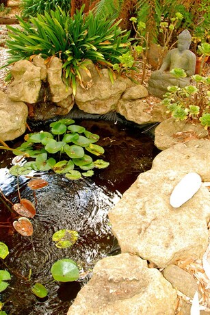 Imagen de la piscina del Hotel South Beach Haven. Foto 34