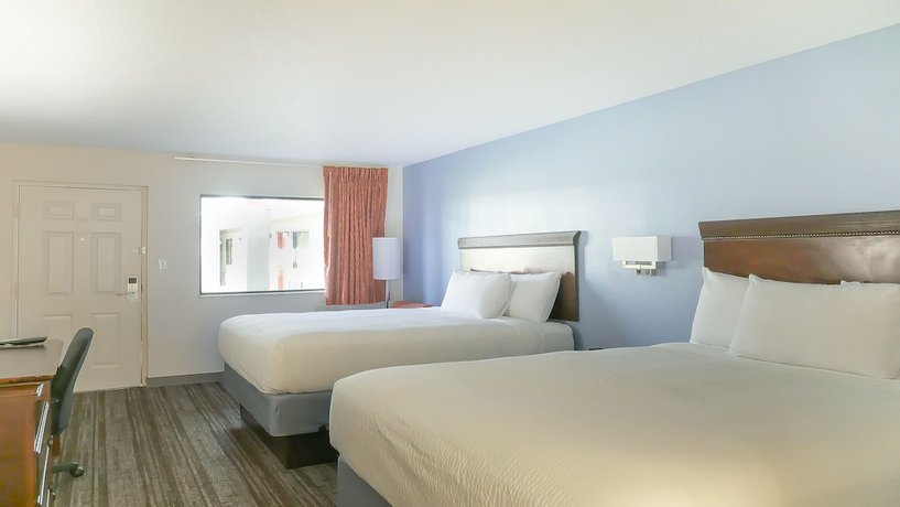 Imagen de la habitación del Hotel South Tampa and Suites. Foto 16