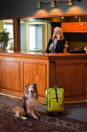 Imagen de los interiores del Hotel South Thompson Inn and Conference Centre. Foto 16