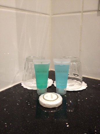 Imagen de la habitación del Hotel Southcrest Manor , Bw Signature Collection. Foto 9