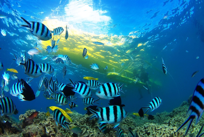 Imagen general del Hotel Southern Beach and Resort Okinawa. Foto 2