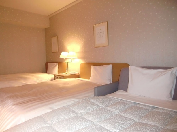 Imagen de la habitación del Hotel Southern City. Foto 5