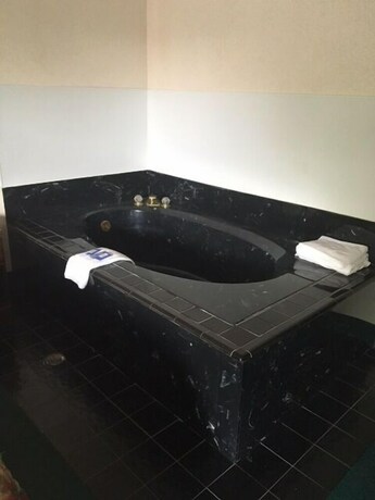 Imagen general del Hotel Southern Lodge and Suites. Foto 3