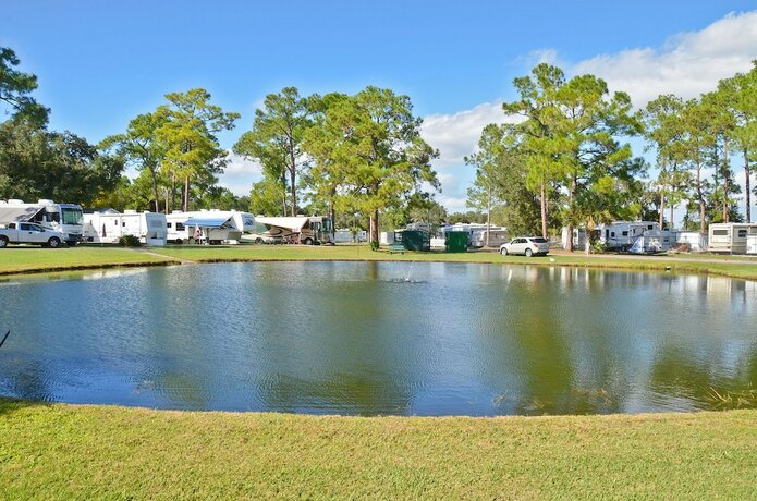Imagen general del Hotel Southern Palms Rv Campground Resort. Foto 8