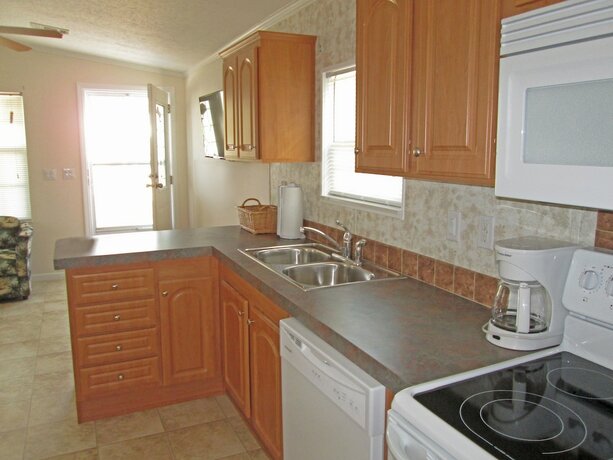 Imagen general del Hotel Southern Palms Rv Campground Resort. Foto 17