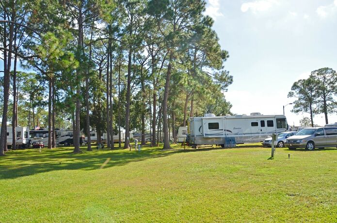 Imagen general del Hotel Southern Palms Rv Campground Resort. Foto 18