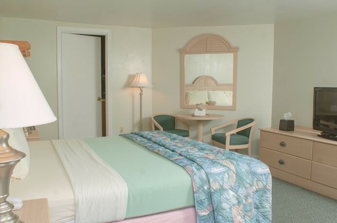 Imagen general del Hotel Southfleet Motor Inn. Foto 1