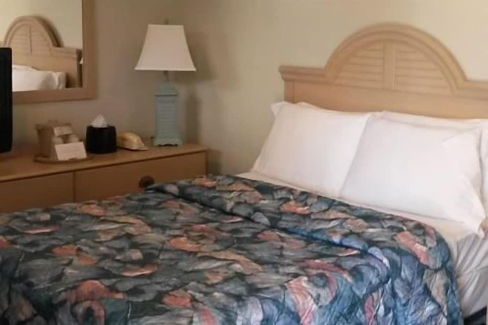 Imagen general del Hotel Southfleet Motor Inn. Foto 2