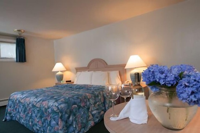 Imagen general del Hotel Southfleet Motor Inn. Foto 4