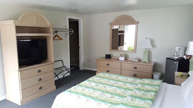 Imagen de la habitación del Hotel Southfleet Motor Inn. Foto 11