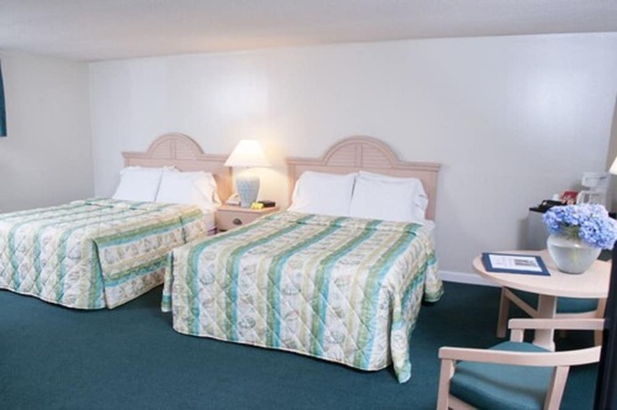 Imagen de la habitación del Hotel Southfleet Motor Inn. Foto 14