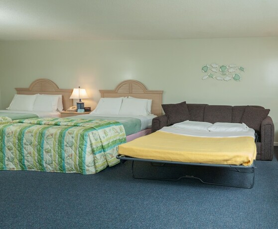 Imagen de la habitación del Hotel Southfleet Motor Inn. Foto 17