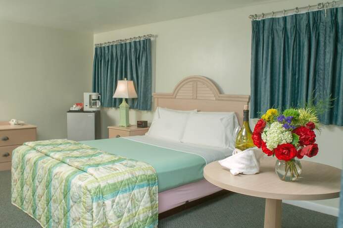 Imagen general del Hotel Southfleet Motor Inn. Foto 9