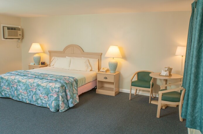 Imagen de la habitación del Hotel Southfleet Motor Inn. Foto 19