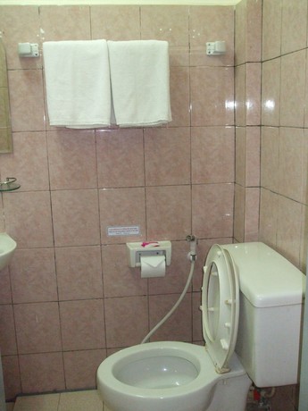 Imagen de la habitación del Hotel Souvanna 2. Foto 7