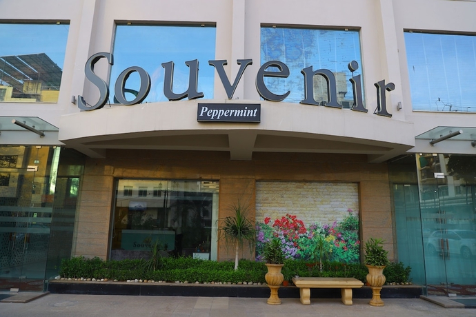 Imagen de los interiores del Hotel Souvenir Peppermint. Foto 15