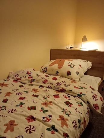 Imagen de la habitación del Hotel Sowa. Foto 12